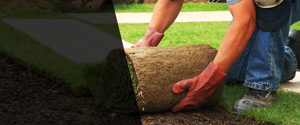 Schiller Park Landscapers